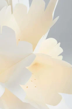 ALHENA Julstjärna ø 60 Cm