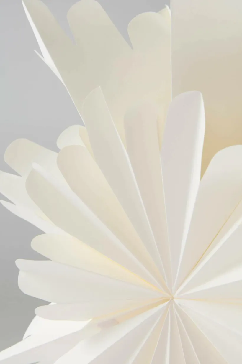 ALHENA Julstjärna ø 60 Cm