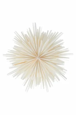 AVOIR ø 56 Cm Julstjärna