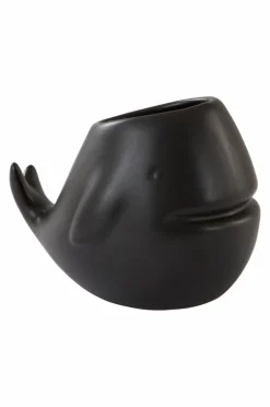 BALENA Minikruka
