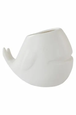 BALENA Minikruka