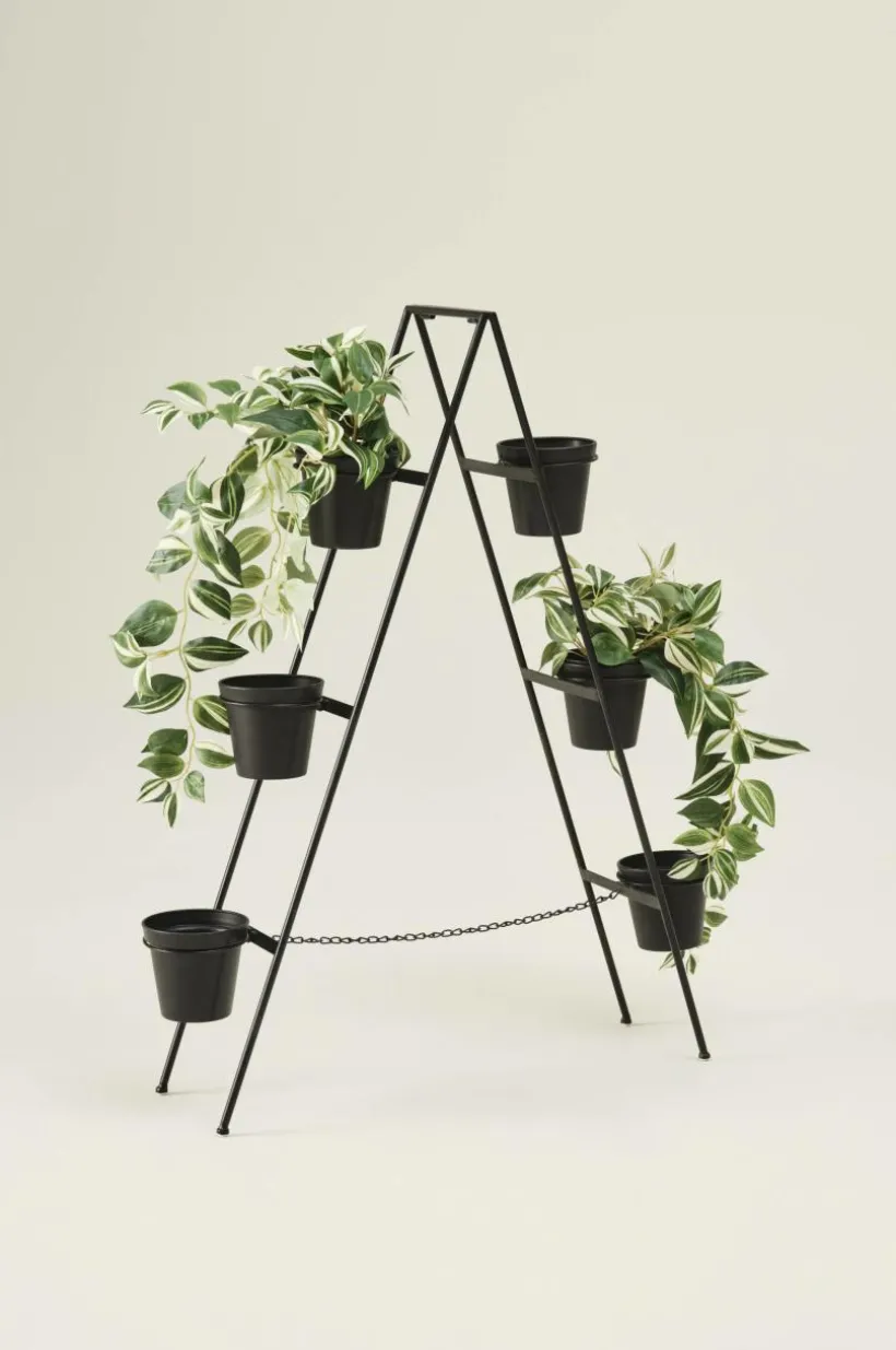 BASIL Blomställning