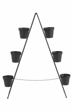 BASIL Blomställning