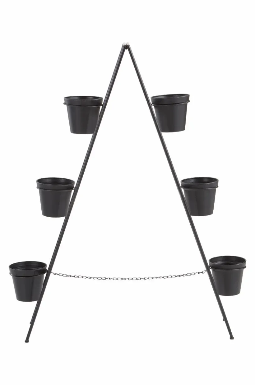 BASIL Blomställning