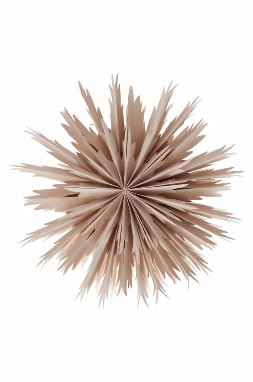 BELLATRIX Julstjärna ø 51 Cm