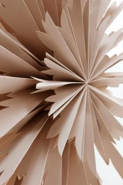 BELLATRIX Julstjärna ø 51 Cm