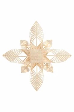 BIRK Julstjärna ø 45 Cm