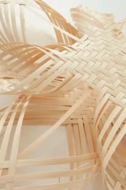 BIRK Julstjärna ø 65 Cm.