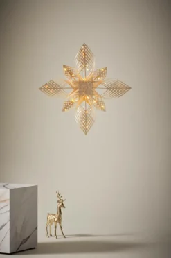 BIRK Julstjärna ø 65 Cm.