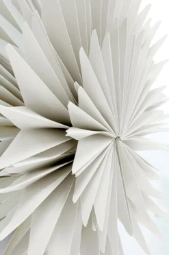 CASTOR Julstjärna ø 63.5 Cm