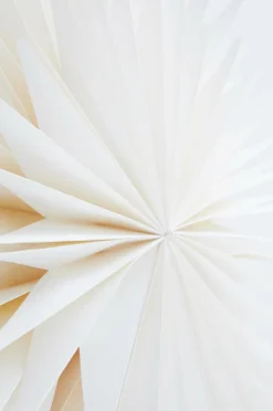 CASTOR Julstjärna ø 63.5 Cm