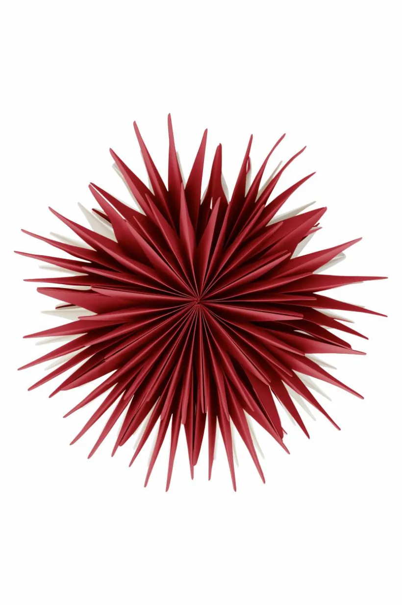 CASTOR Julstjärna ø 63.5 Cm