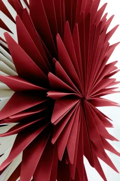 CASTOR Julstjärna ø 63.5 Cm