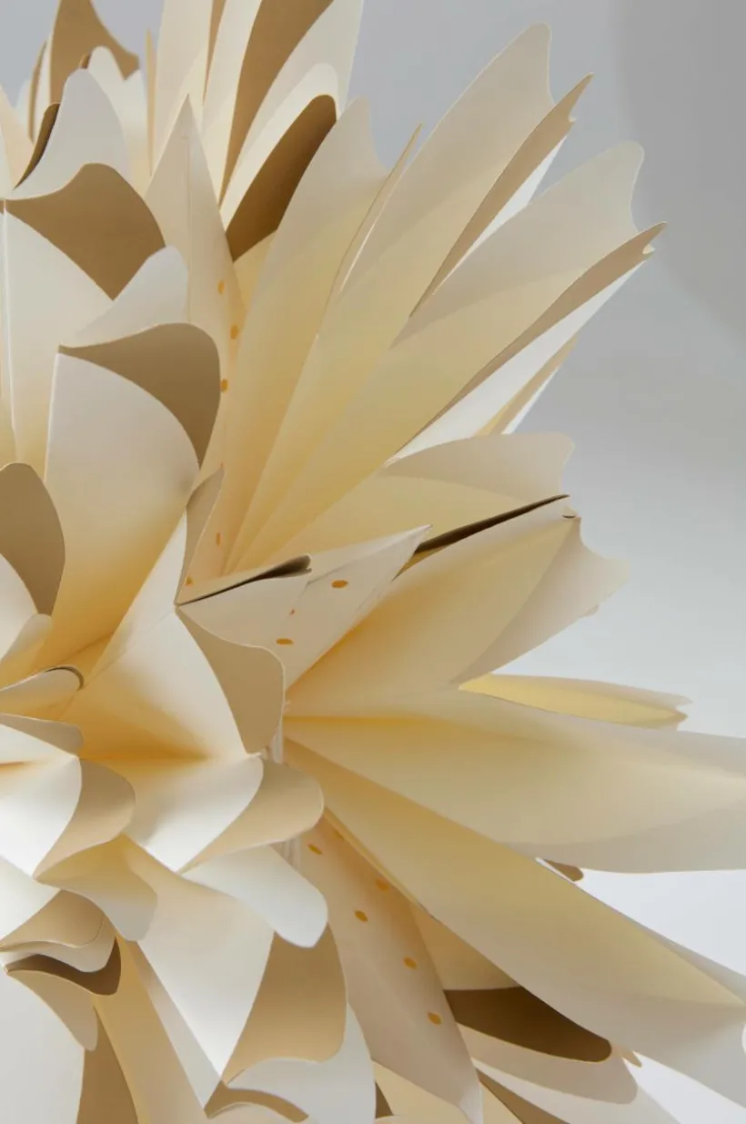 CERES Julstjärna ø 50 Cm