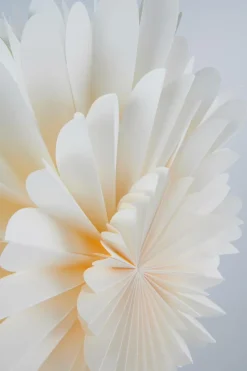 EIRA Julstjärna ø 68 Cm