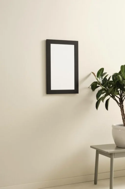 ENVY Spegel 30x50 Cm