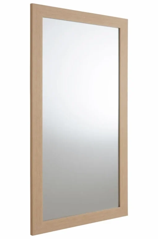 ENVY Spegel 40x80 Cm