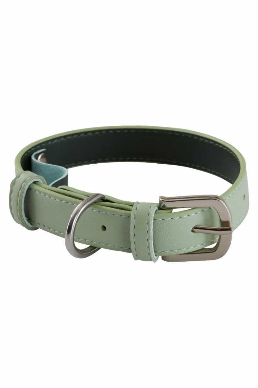 INU Hundhalsband/katthalsband