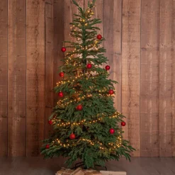 Julgran Edane 210cm
