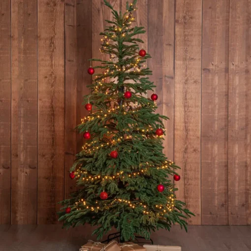 Julgran Edane 210cm