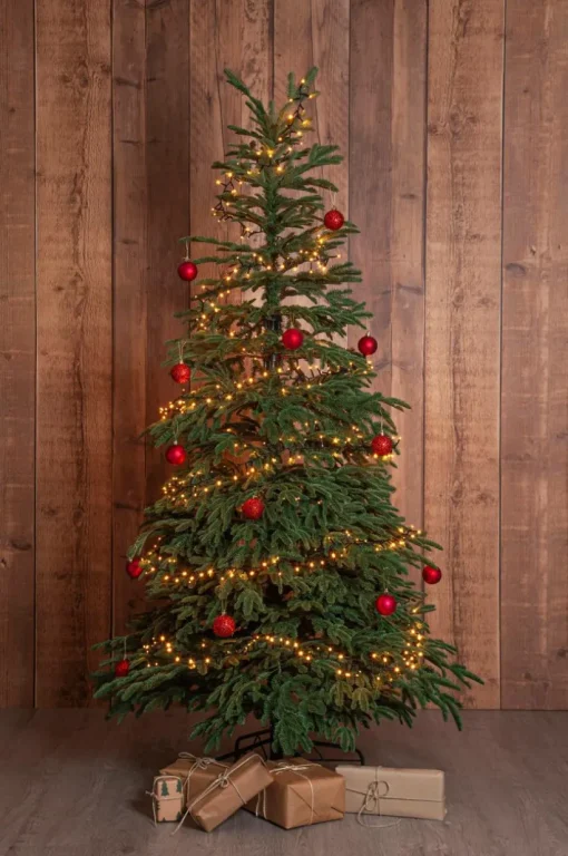 Julgran Edane 210cm