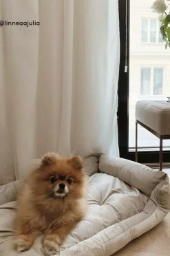 KELLY Hundbädd/kattbädd