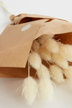 LAGURUS Gräs Bukett 3 Stjälkar