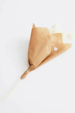 LAGURUS Gräs Bukett 3 Stjälkar