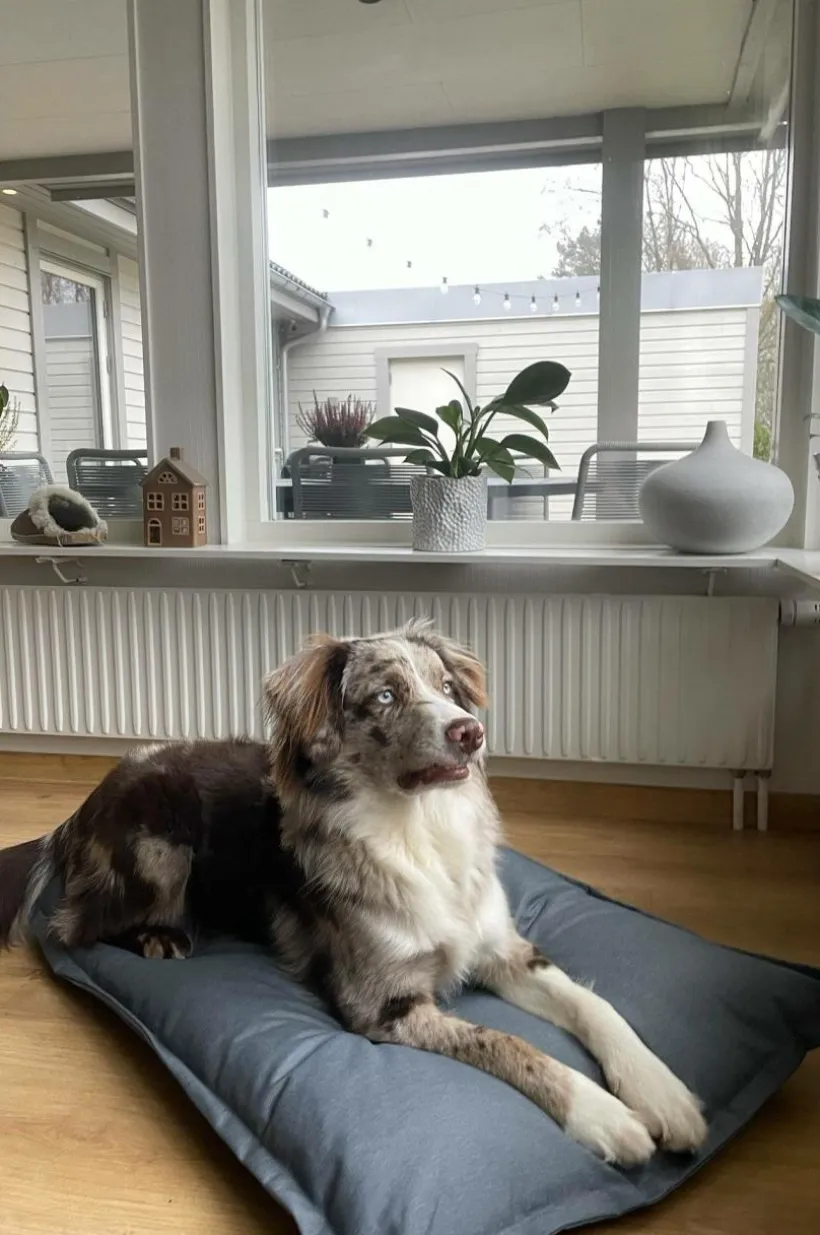 LOKI OUTDOOR Hundbädd/kattbädd 100x70 Cm