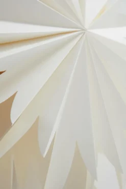 MIMOSA Julstjärna ø 44 Cm