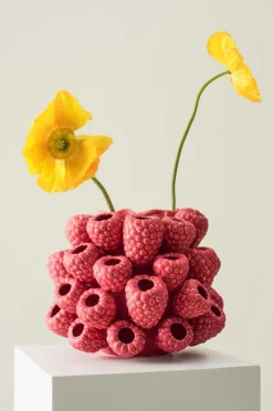 RASPBERRY Vas/kruka