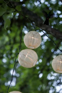 RICIE Ljusslinga Solcell