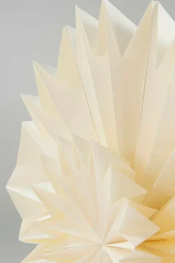 RIGEL Julstjärna ø 55 Cm