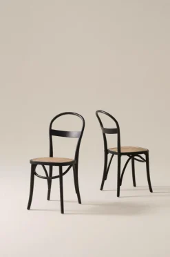 RIPPATS Stol 2-pack