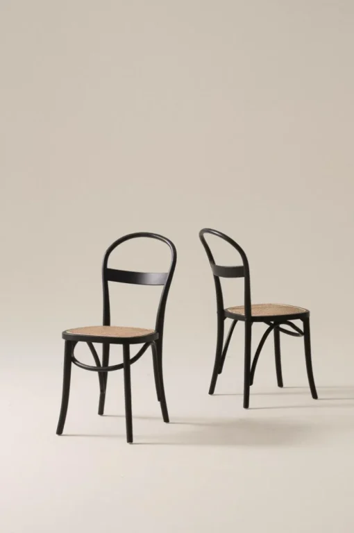 RIPPATS Stol 2-pack