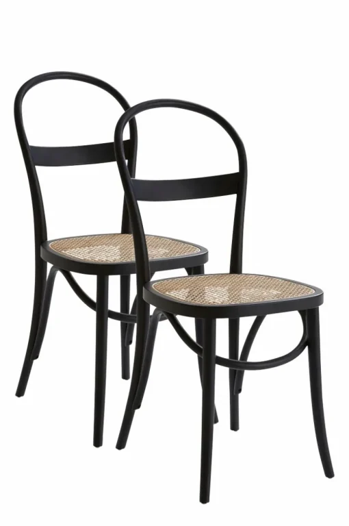 RIPPATS Stol 2-pack