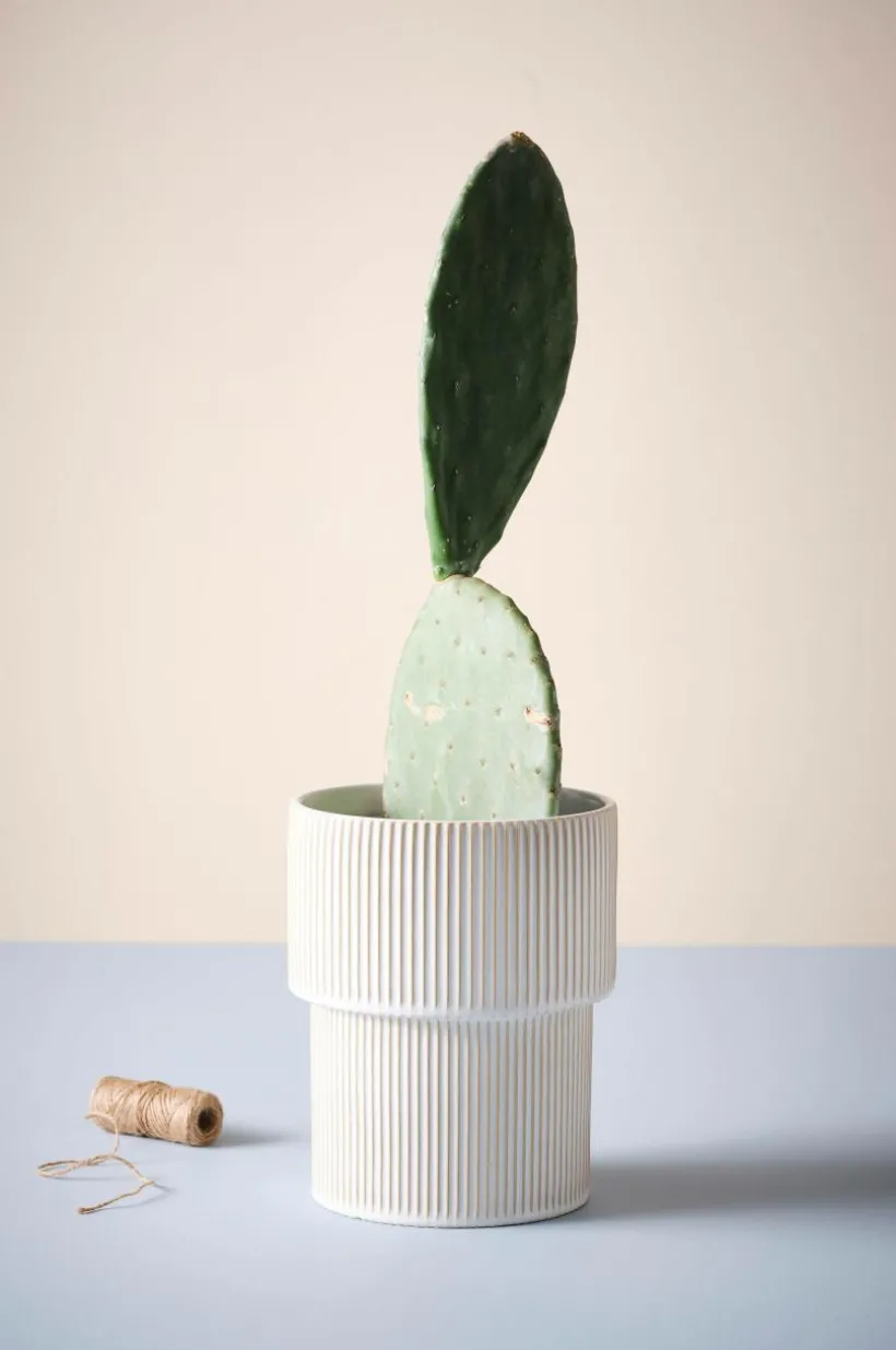 RUBY MAE Kruka ø 21 Cm