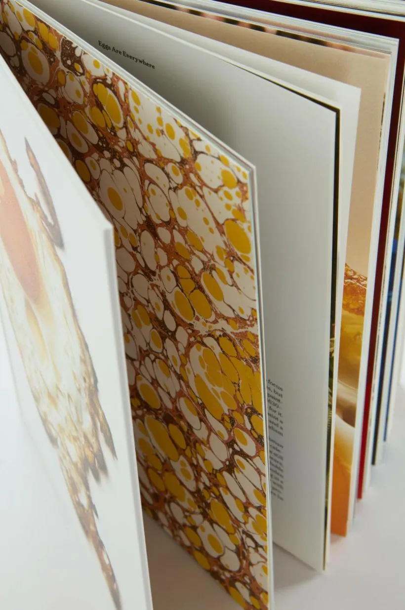 THE GOURMAND´s EGG Coffee Table Bok